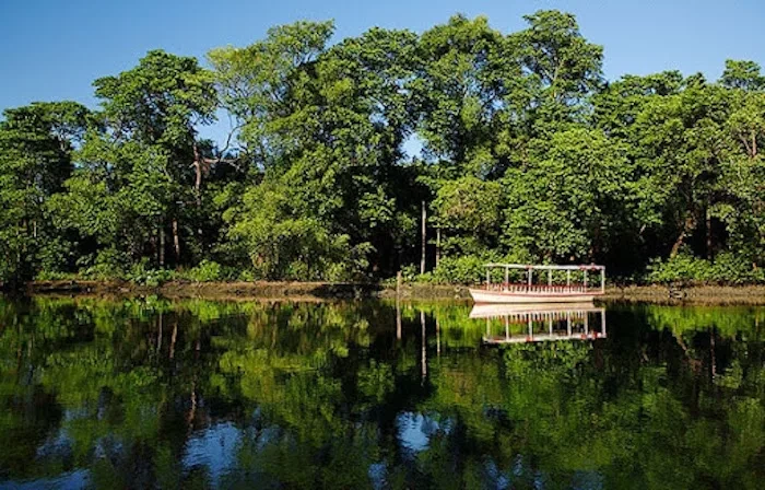 Parque Rio Cocó em Fortaleza