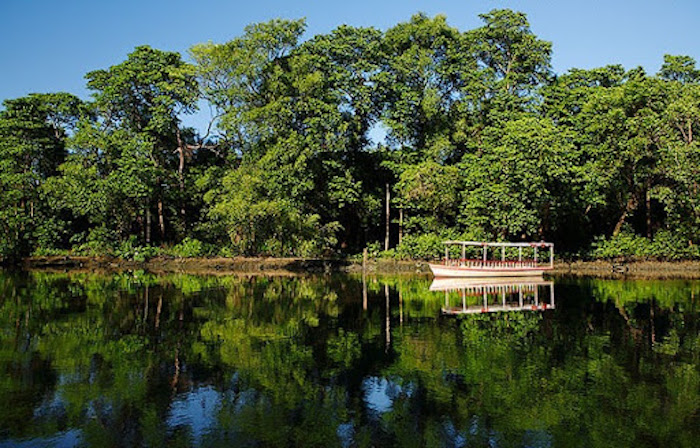 Parque Ecológico do Rio Cocó em Fortaleza